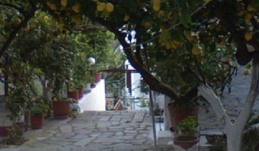 Apartamento Lemon House Kokkari Exterior foto